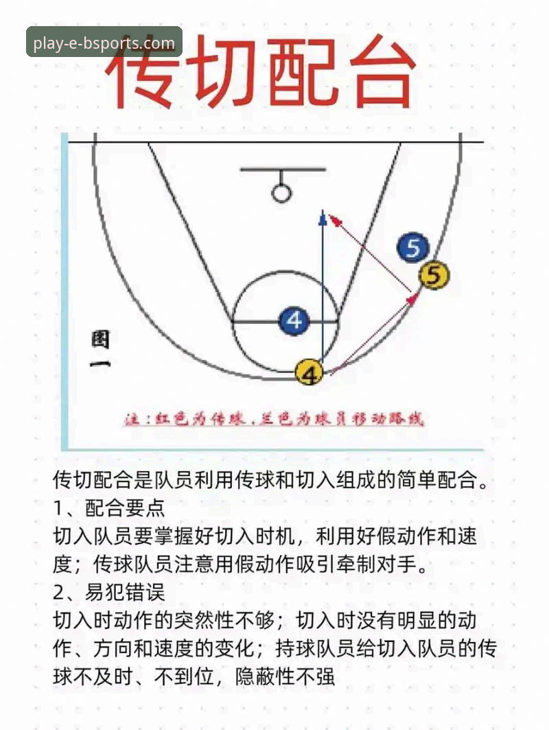 揭秘B体育娱乐平台精彩体育娱乐的实战攻略——从新手到老手的完整指南